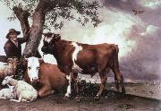 POTTER, Paulus the bull oil painting reproduction